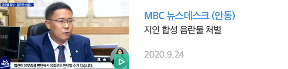 10.디지털성범죄_안동
